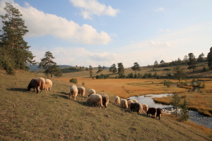 6hohepunkte Höhepunkte Serbiens, Zlatibor
