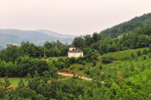 7 Golija Naturreservat