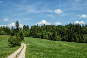 IVV1 IVV Wandern Serbien
