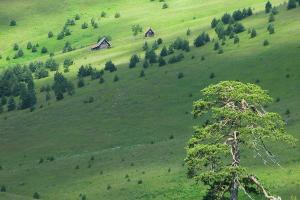 IVV3 IVV Wandern Serbien