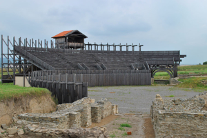 Viminacium5