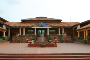 Viminacium6