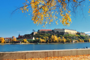 ausflug7 tagesausflug belgrad