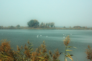 carskabara2 Kaisersumpf