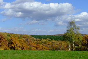 fruskagora5 Fruska Gora Reisen
