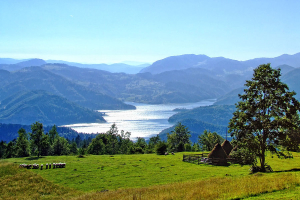heilkrauter5 Heilkräuter Reise