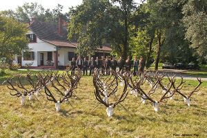 Jagd in Serbien