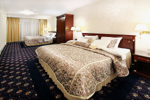 Hotel Izvor Arandjelovac
