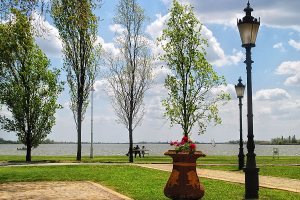 Palic