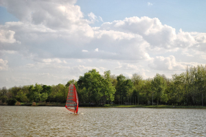 Palic