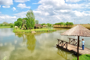 Palic