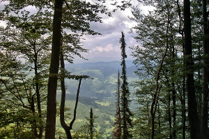 Nationalpark Tara