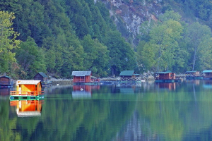 Nationalpark Tara
