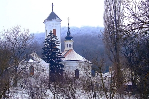 vrdnik4