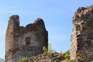 vrdnik6
