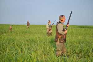 Jagd in Serbien