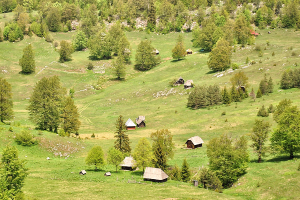 wander4 Wandertour Westserbien