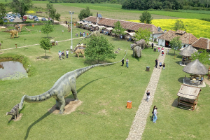 zasavica5 Zasavica