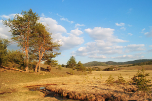 Zlatibor Serbien